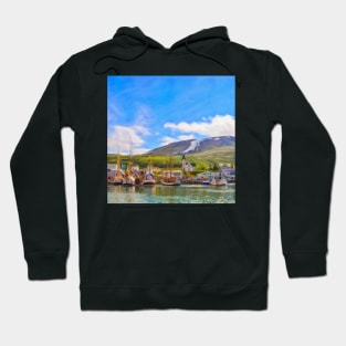 North Iceland I Hoodie